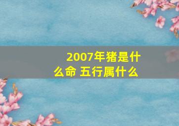 2007年猪是什么命 五行属什么